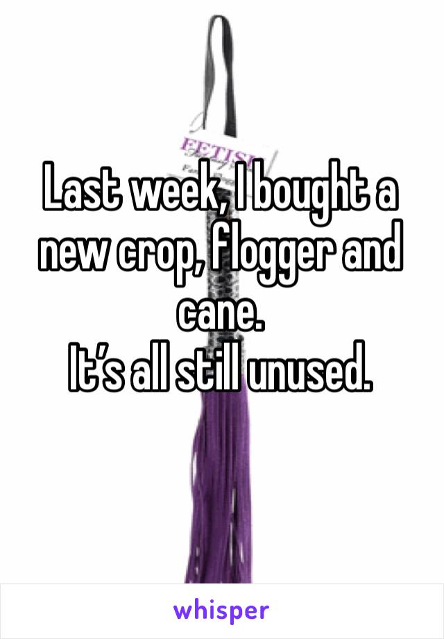 Last week, I bought a new crop, flogger and cane.
It’s all still unused.