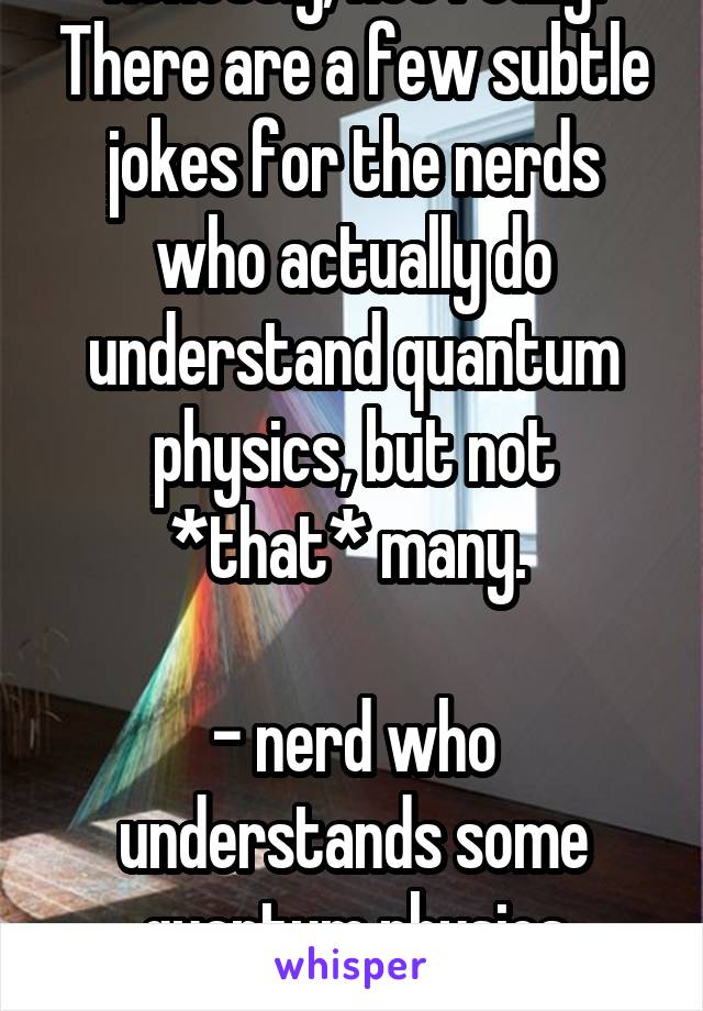Honestly, not really. There are a few subtle jokes for the nerds who actually do understand quantum physics, but not *that* many. 

- nerd who understands some quantum physics theories. 