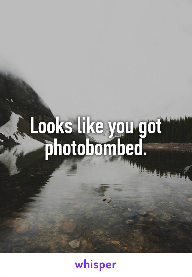 Looks like you got photobombed.
