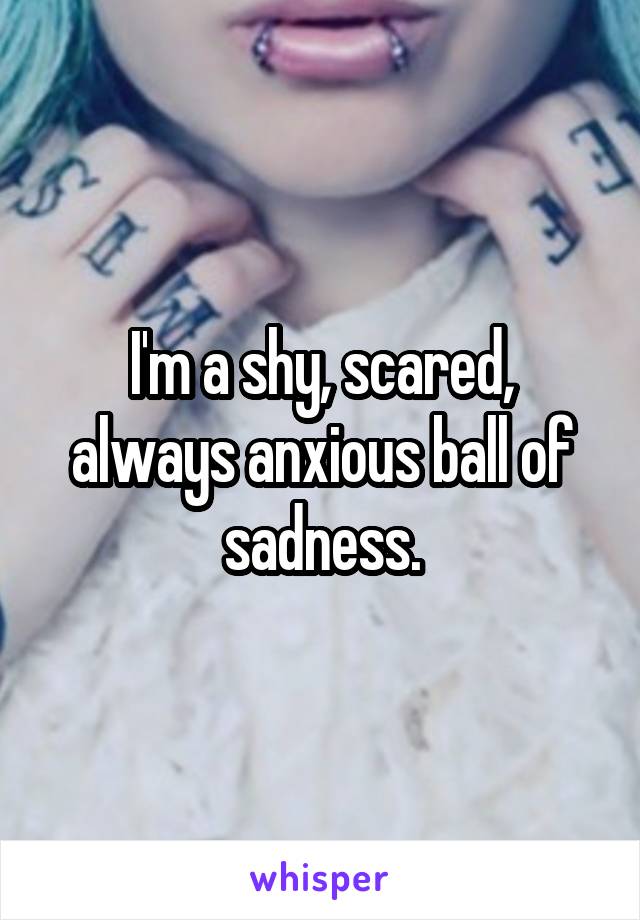 I'm a shy, scared, always anxious ball of sadness.