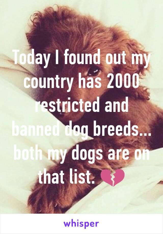 Today I found out my country has 2000 restricted and banned dog breeds... both my dogs are on that list. 💔