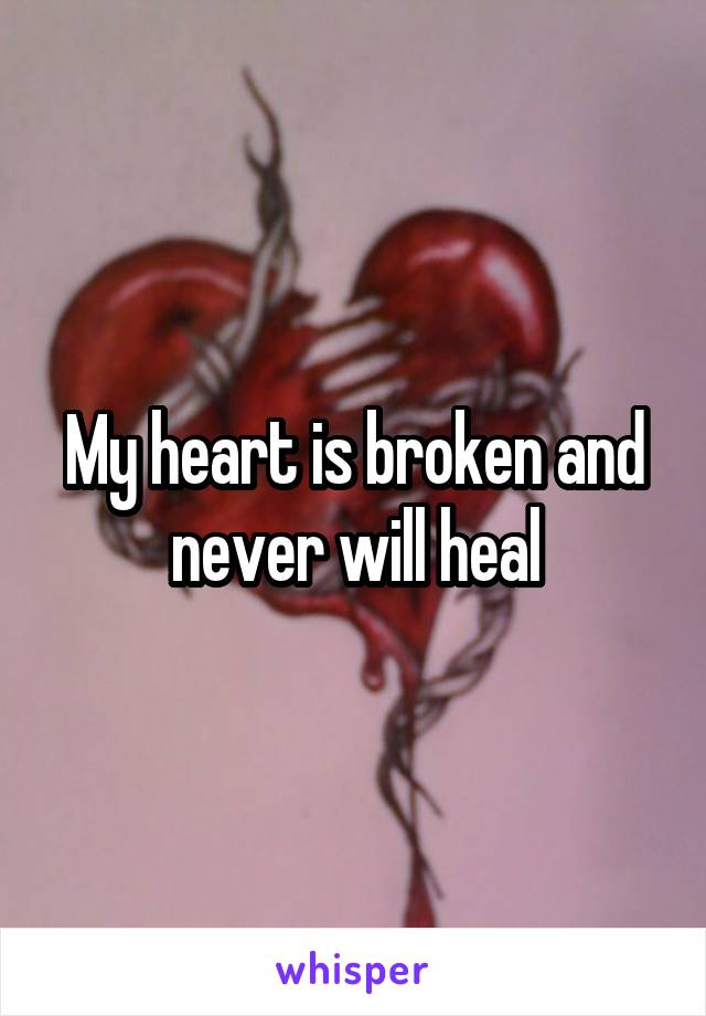 My heart is broken and never will heal