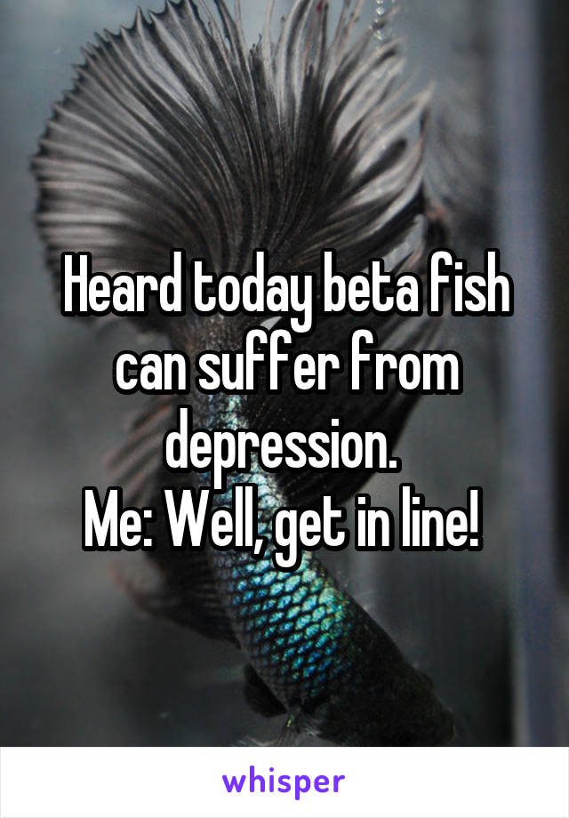 Heard today beta fish can suffer from depression. 
Me: Well, get in line! 