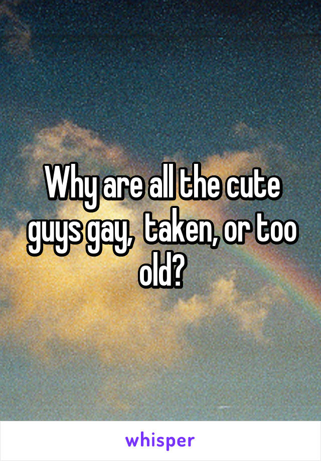Why are all the cute guys gay,  taken, or too old?