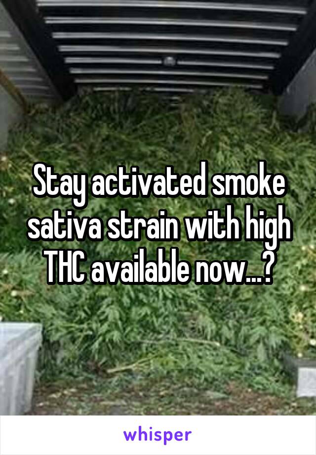 Stay activated smoke sativa strain with high THC available now...?
