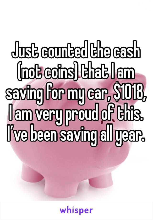 Just counted the cash (not coins) that I am saving for my car, $1018, I am very proud of this. I’ve been saving all year.