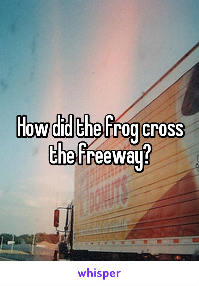 How did the frog cross the freeway?