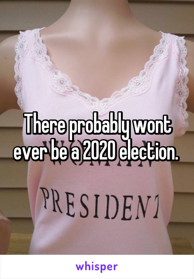 There probably wont ever be a 2020 election. 