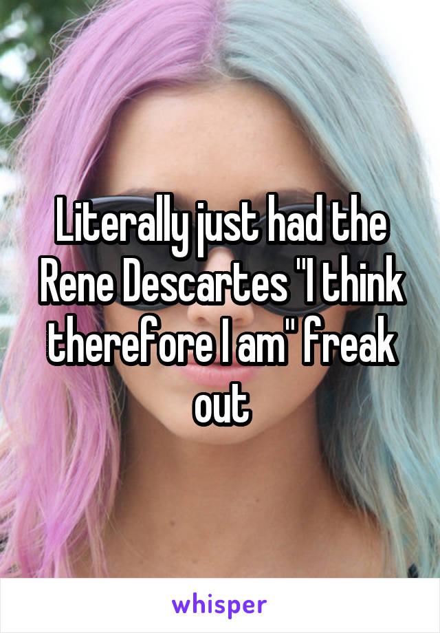 Literally just had the Rene Descartes "I think therefore I am" freak out