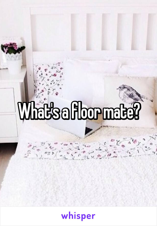 What's a floor mate?