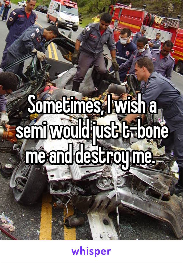Sometimes, I wish a semi would just t-bone me and destroy me. 