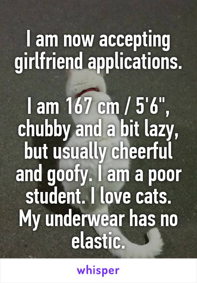 I am now accepting girlfriend applications.

I am 167 cm / 5'6", chubby and a bit lazy, but usually cheerful and goofy. I am a poor student. I love cats.
My underwear has no elastic.