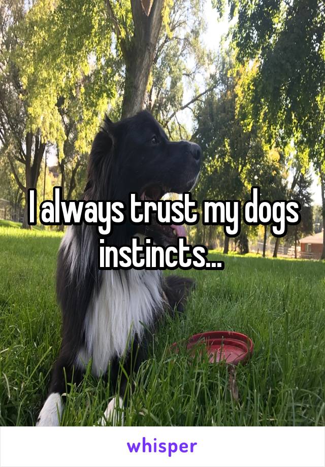 I always trust my dogs instincts... 