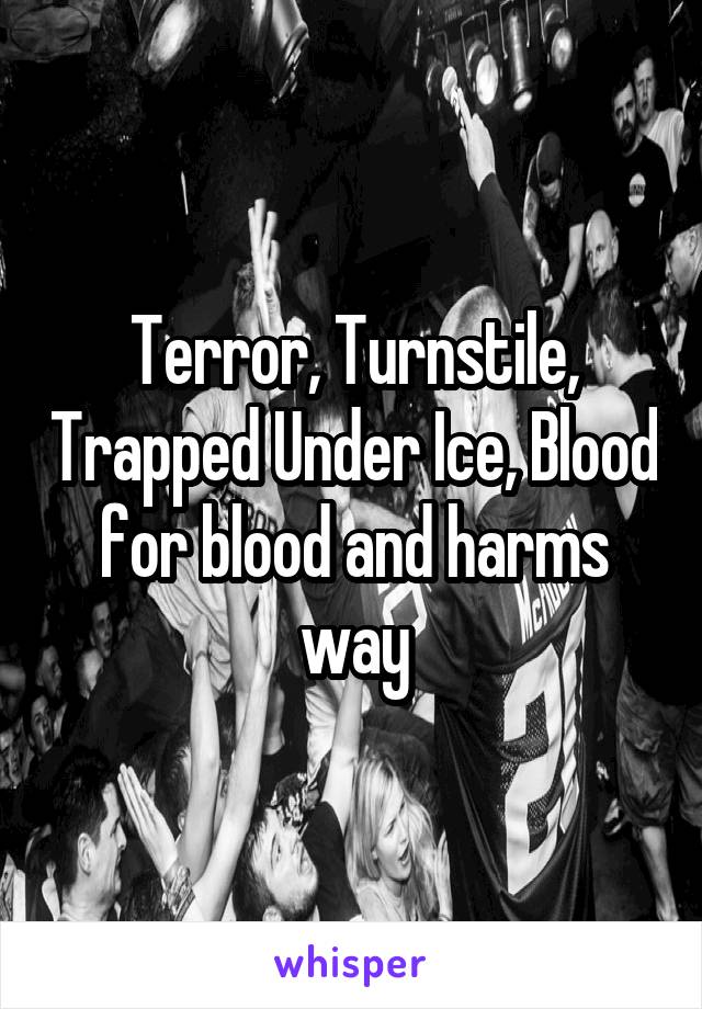 Terror, Turnstile, Trapped Under Ice, Blood for blood and harms way