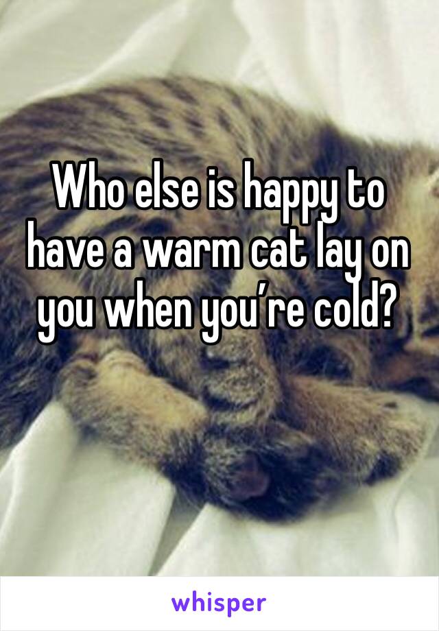 Who else is happy to have a warm cat lay on you when you’re cold?