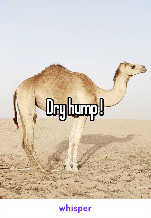 Dry hump ! 