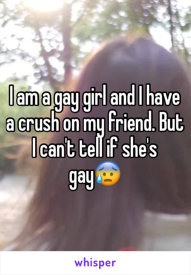 I am a gay girl and I have a crush on my friend. But I can't tell if she's gay😰