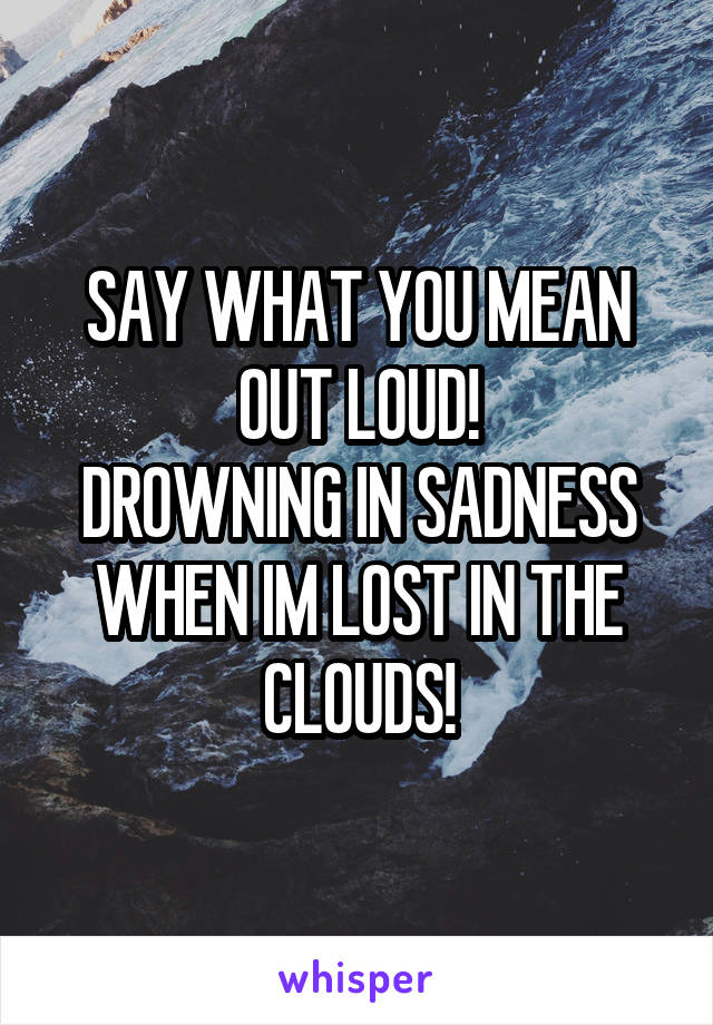 SAY WHAT YOU MEAN OUT LOUD!
DROWNING IN SADNESS WHEN IM LOST IN THE CLOUDS!