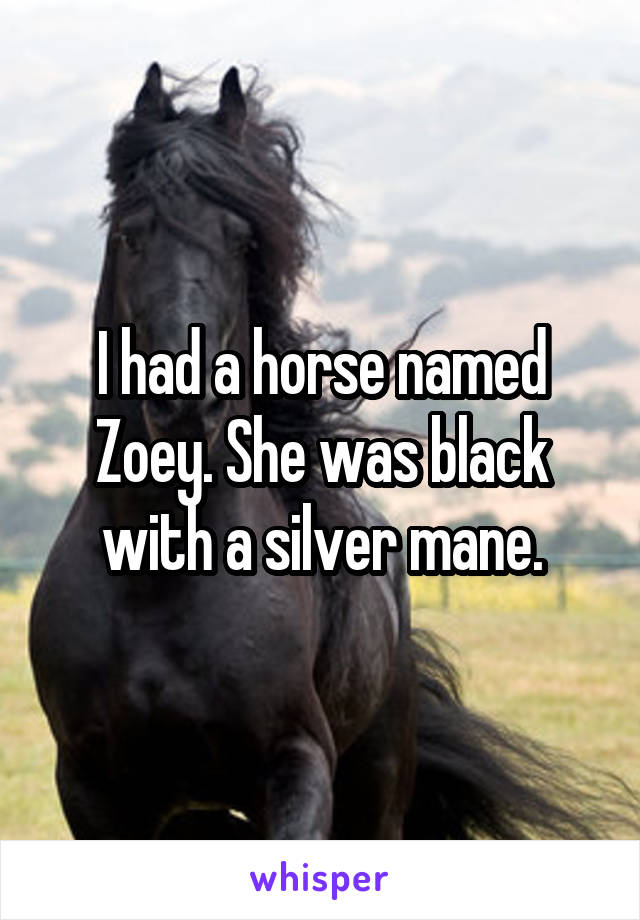 I had a horse named Zoey. She was black with a silver mane.