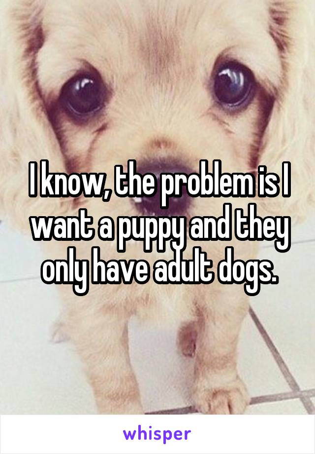 I know, the problem is I want a puppy and they only have adult dogs.