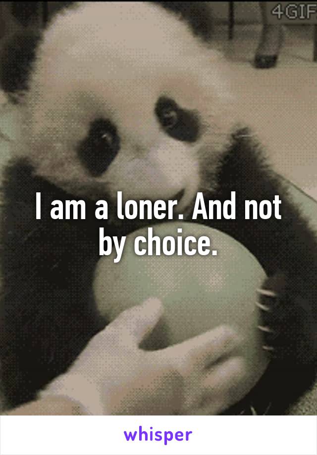 I am a loner. And not by choice.