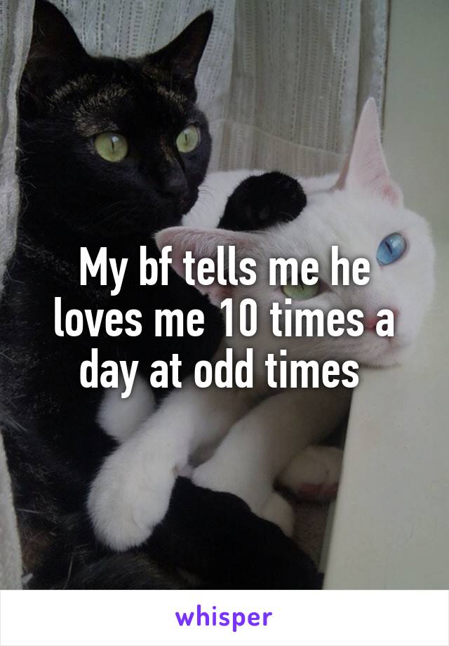 My bf tells me he loves me 10 times a day at odd times 