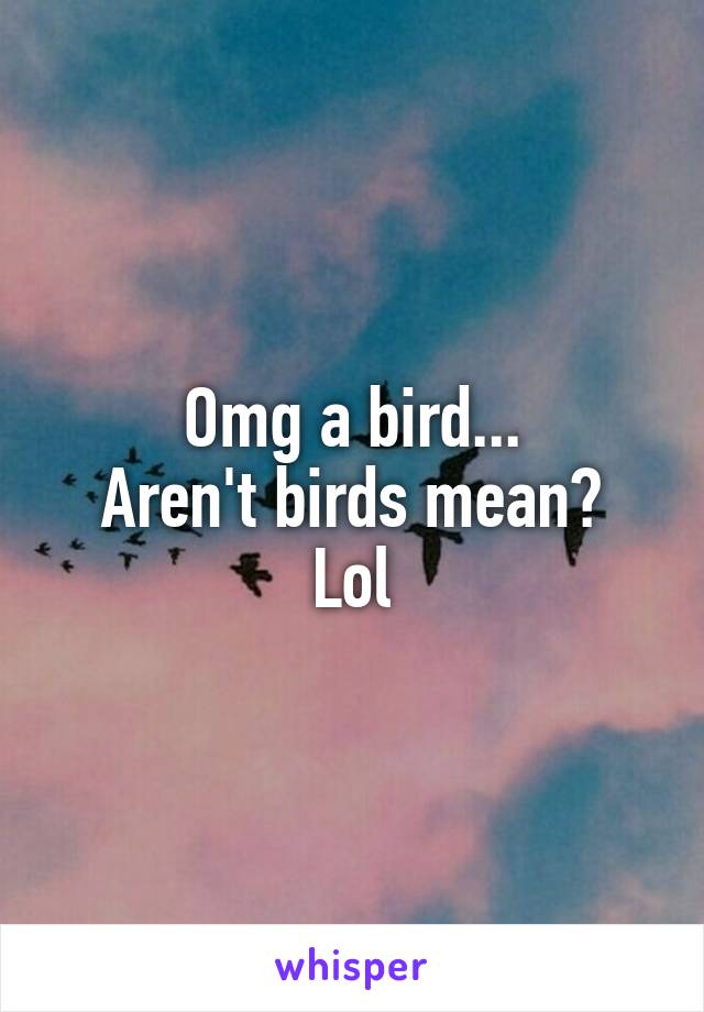 Omg a bird...
Aren't birds mean? Lol