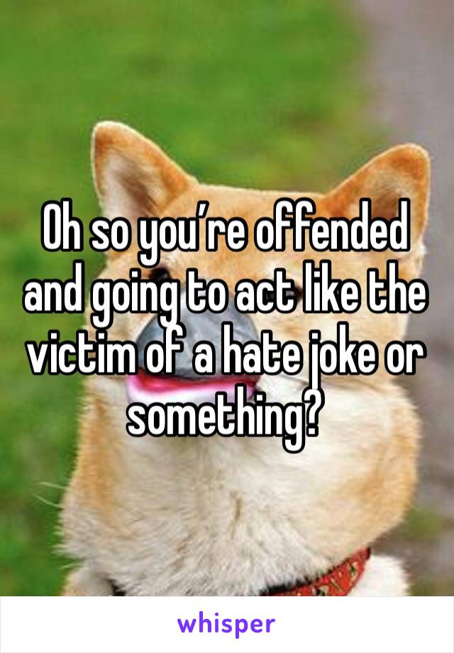 Oh so you’re offended and going to act like the victim of a hate joke or something?