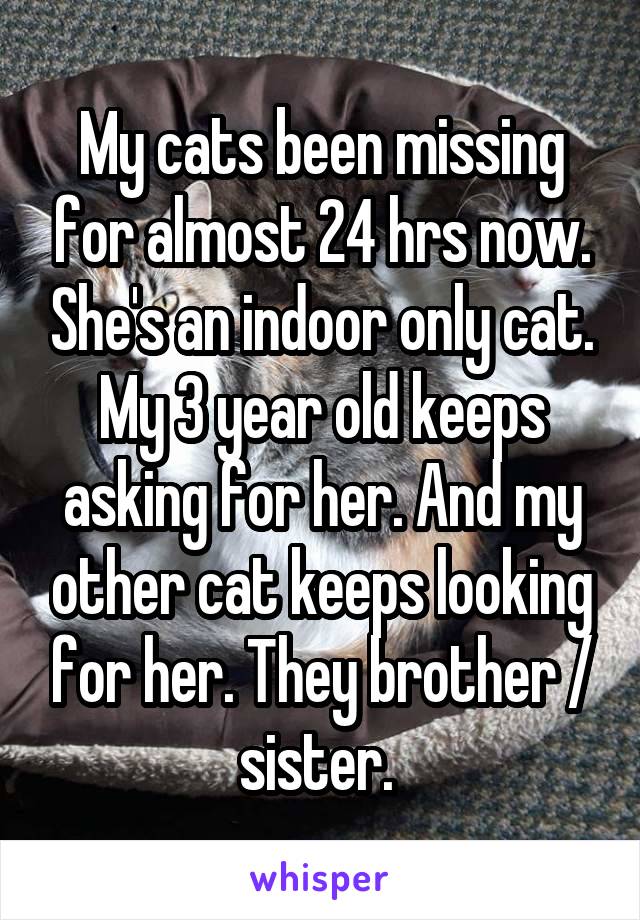 My cats been missing for almost 24 hrs now. She's an indoor only cat. My 3 year old keeps asking for her. And my other cat keeps looking for her. They brother / sister. 