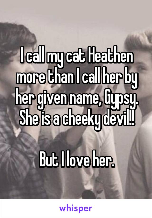 I call my cat Heathen more than I call her by her given name, Gypsy. She is a cheeky devil!!

But I love her.