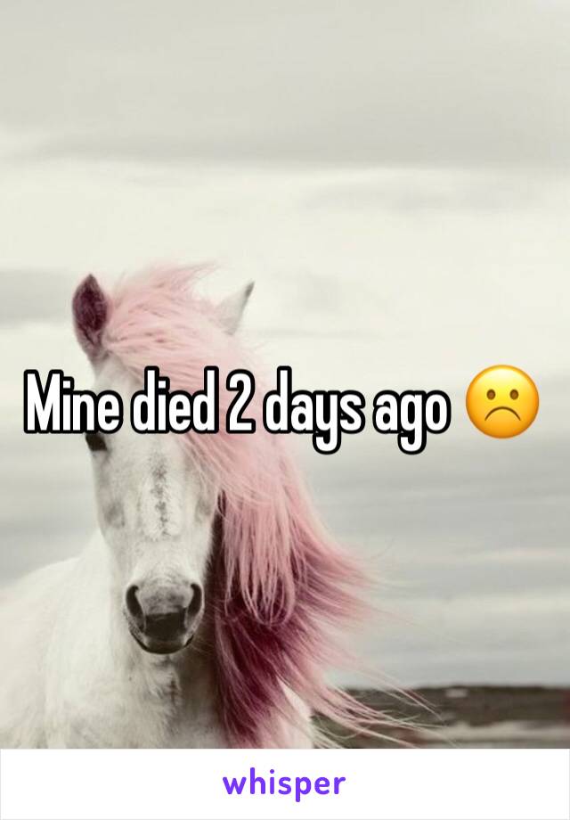 Mine died 2 days ago ☹️