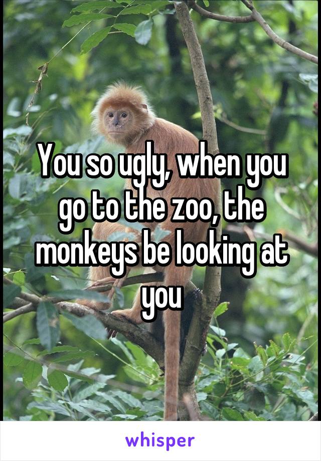 You so ugly, when you go to the zoo, the monkeys be looking at you