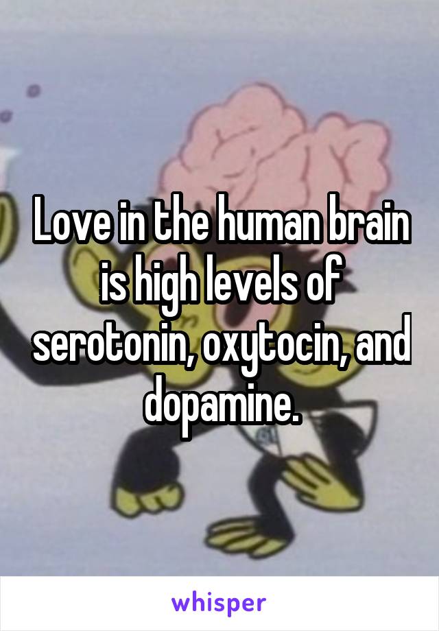 Love in the human brain is high levels of serotonin, oxytocin, and dopamine.