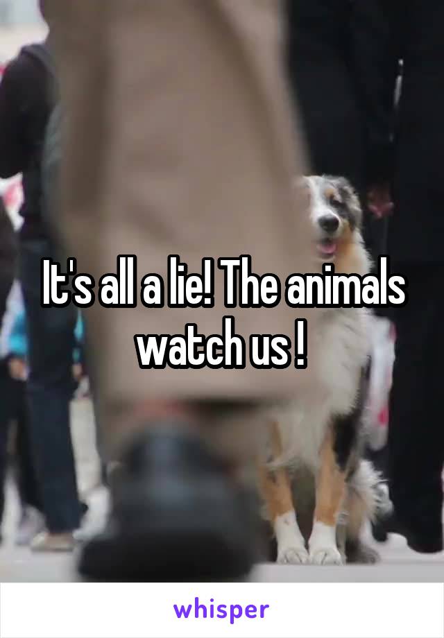 It's all a lie! The animals watch us ! 