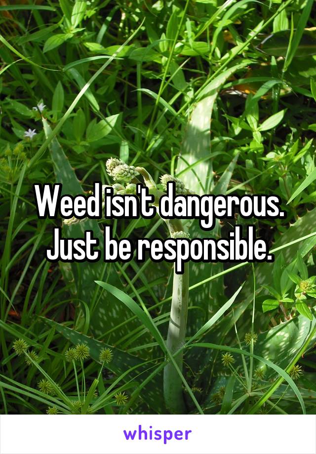 Weed isn't dangerous. Just be responsible.