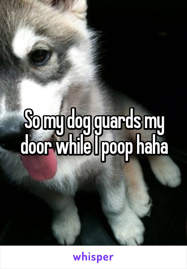 So my dog guards my door while I poop haha