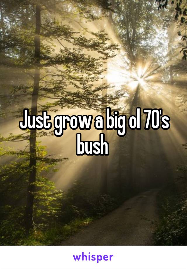 Just grow a big ol 70's bush 
