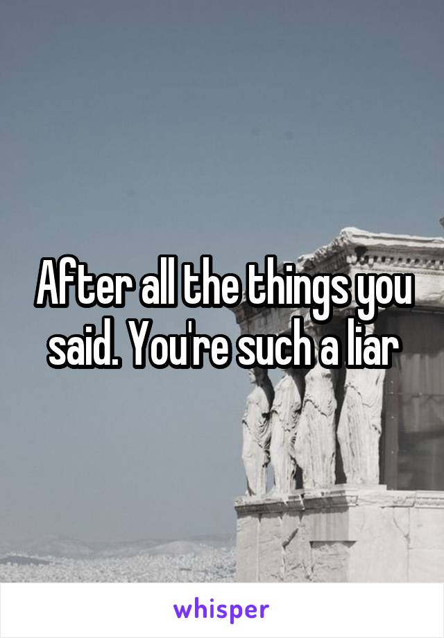 After all the things you said. You're such a liar