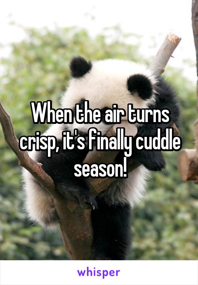 When the air turns crisp, it's finally cuddle season!