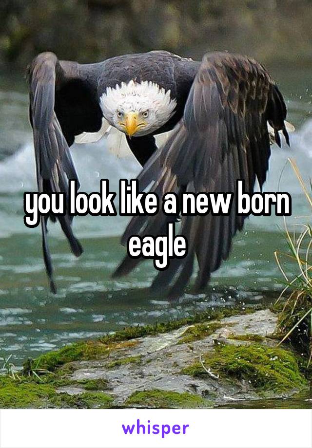 you look like a new born eagle