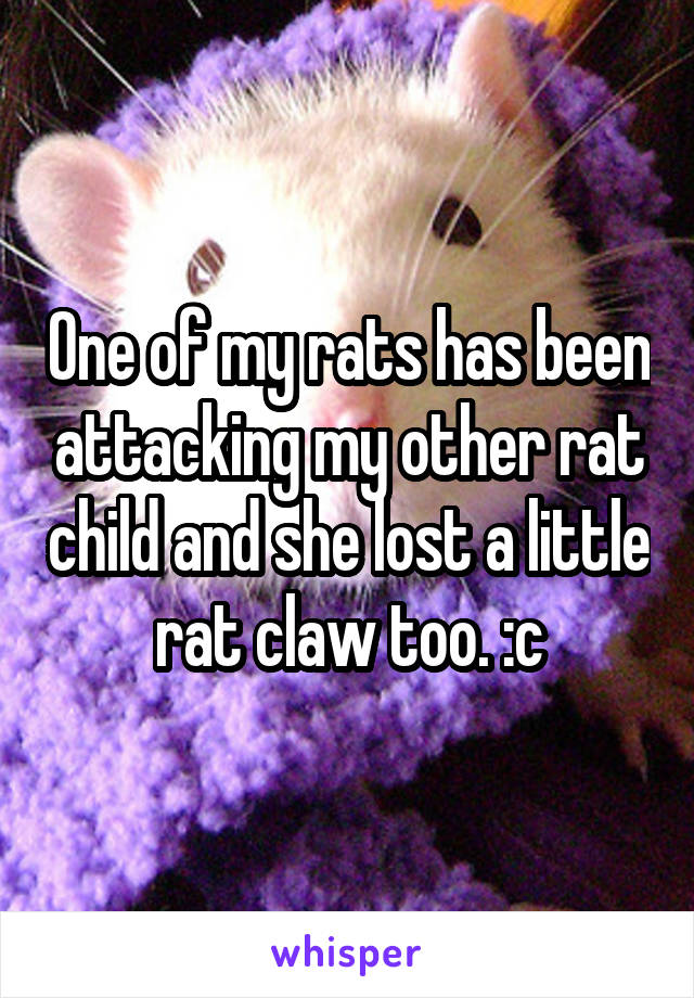 One of my rats has been attacking my other rat child and she lost a little rat claw too. :c