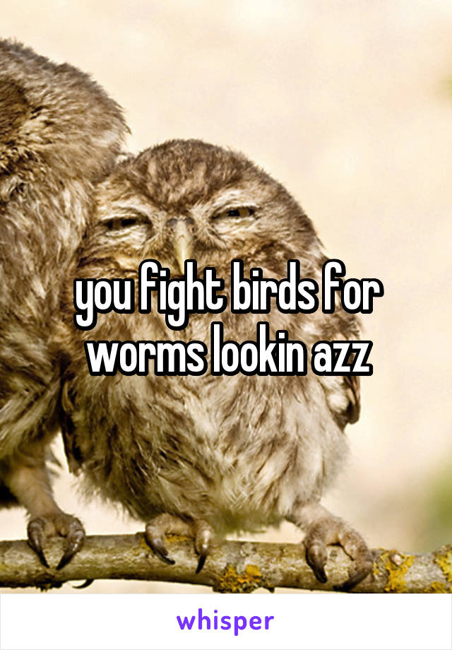 you fight birds for worms lookin azz