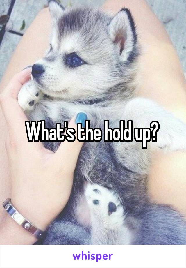 What's the hold up? 