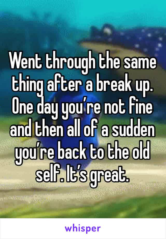 Went through the same thing after a break up. One day you’re not fine and then all of a sudden you’re back to the old self. It’s great. 
