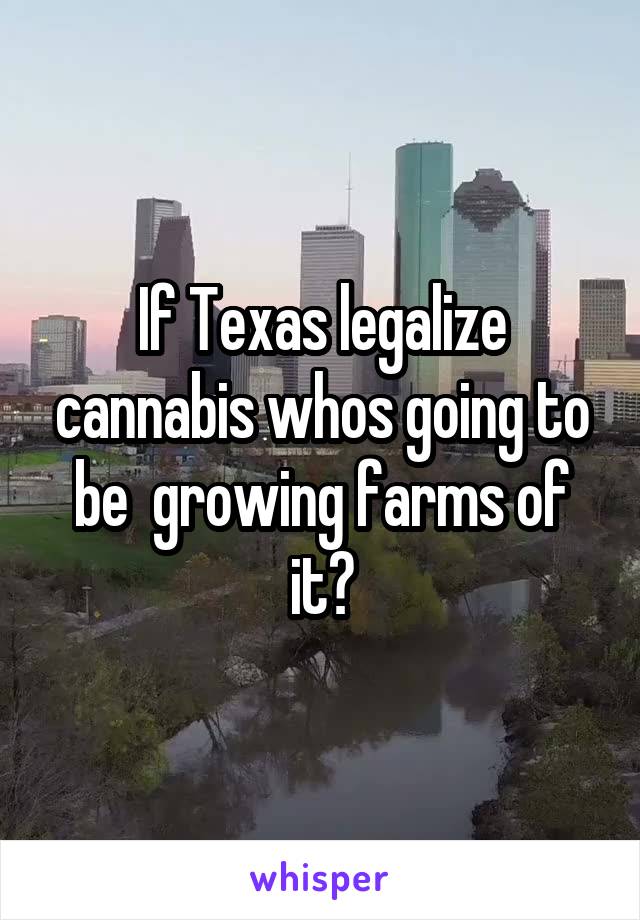 If Texas legalize cannabis whos going to be  growing farms of it?