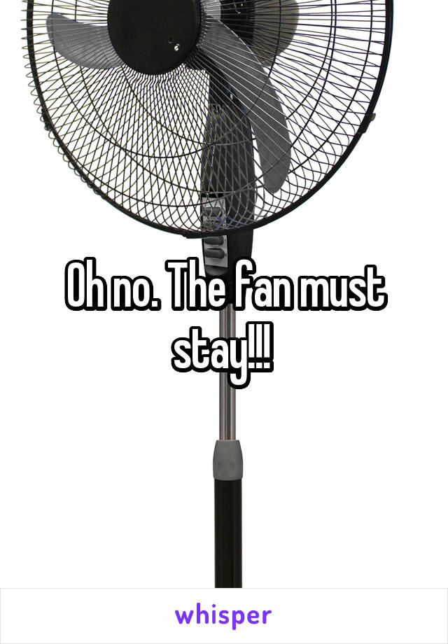 Oh no. The fan must stay!!! 