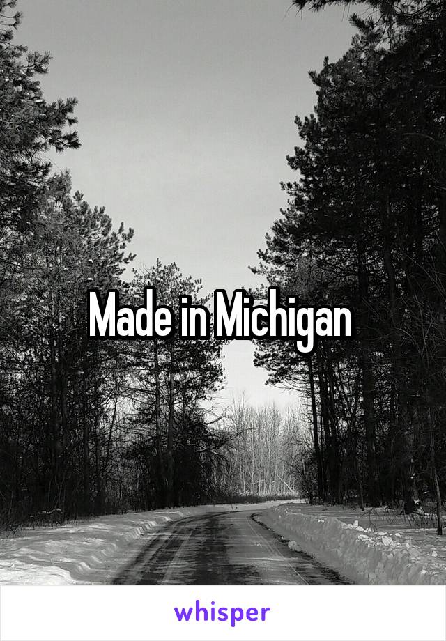 Made in Michigan 