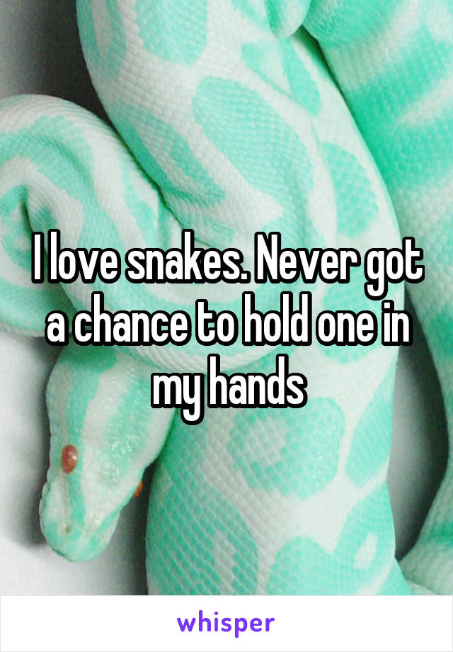 I love snakes. Never got a chance to hold one in my hands