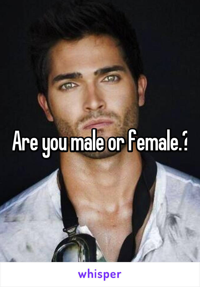 Are you male or female.?