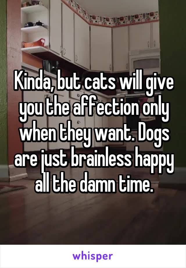 Kinda, but cats will give you the affection only when they want. Dogs are just brainless happy all the damn time.